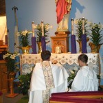 pictures 2011 266
