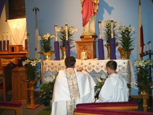 pictures 2011 266