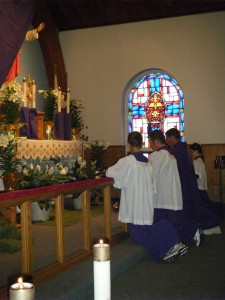 pictures 2011 285