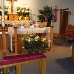 pictures 2011 287